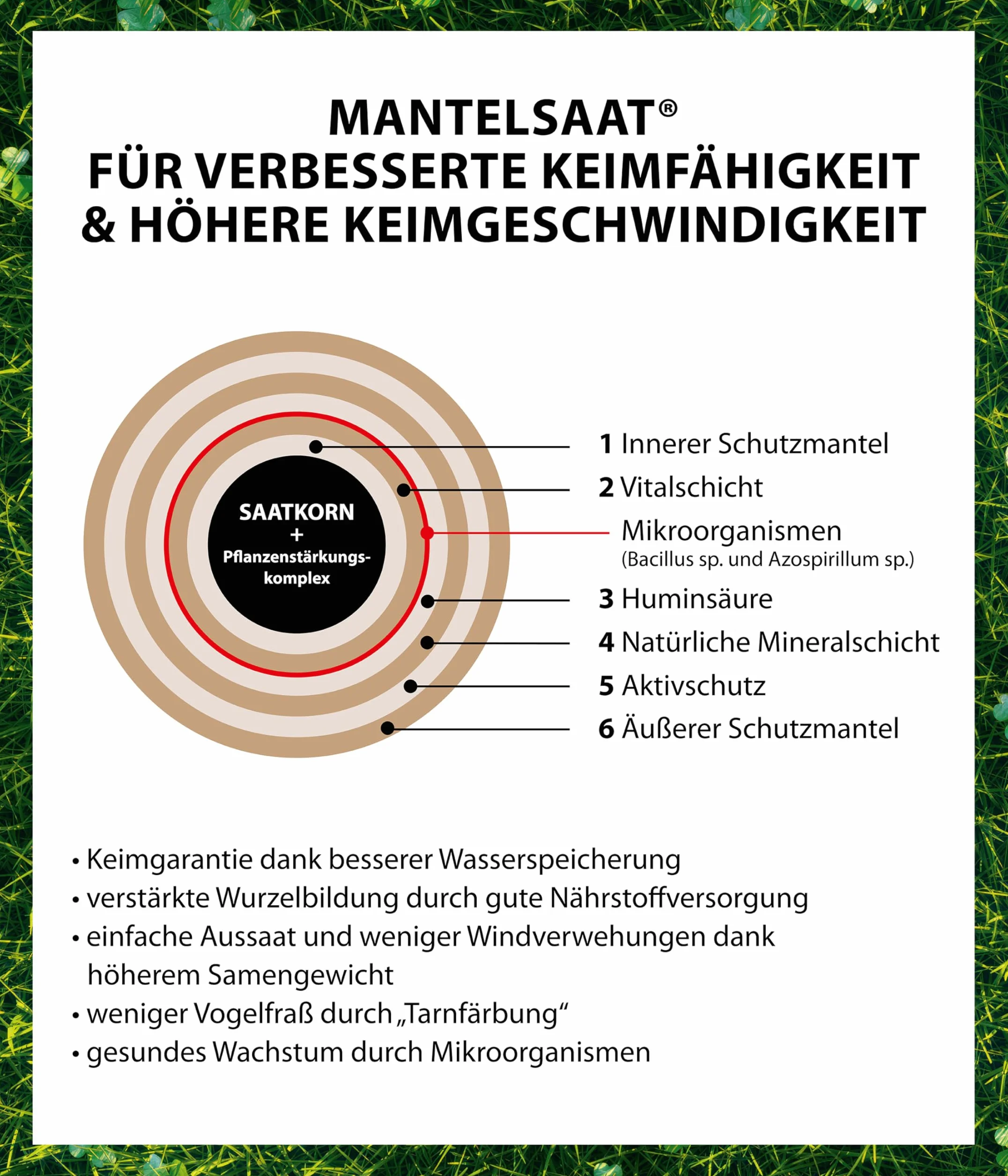 Dehner Saatgut Rasensamen, Mikroklee-Rasen, hochwertige Saatgutmischung, selbstdüngend/selbstkeimend, für ca. 25 m², 625 g (Packung mit 8)
