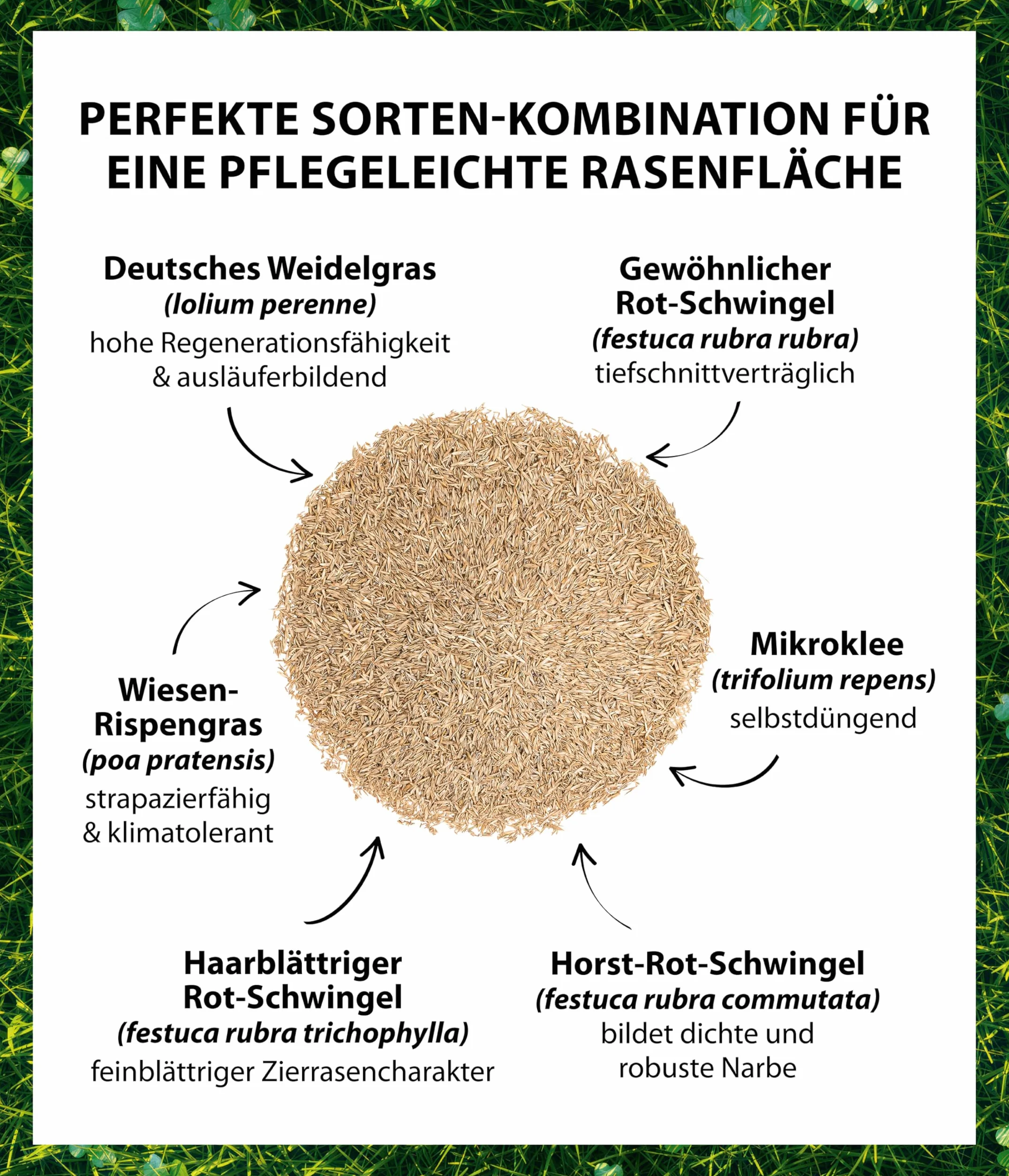 Dehner Saatgut Rasensamen, Mikroklee-Rasen, hochwertige Saatgutmischung, selbstdüngend/selbstkeimend, für ca. 25 m², 625 g (Packung mit 8)