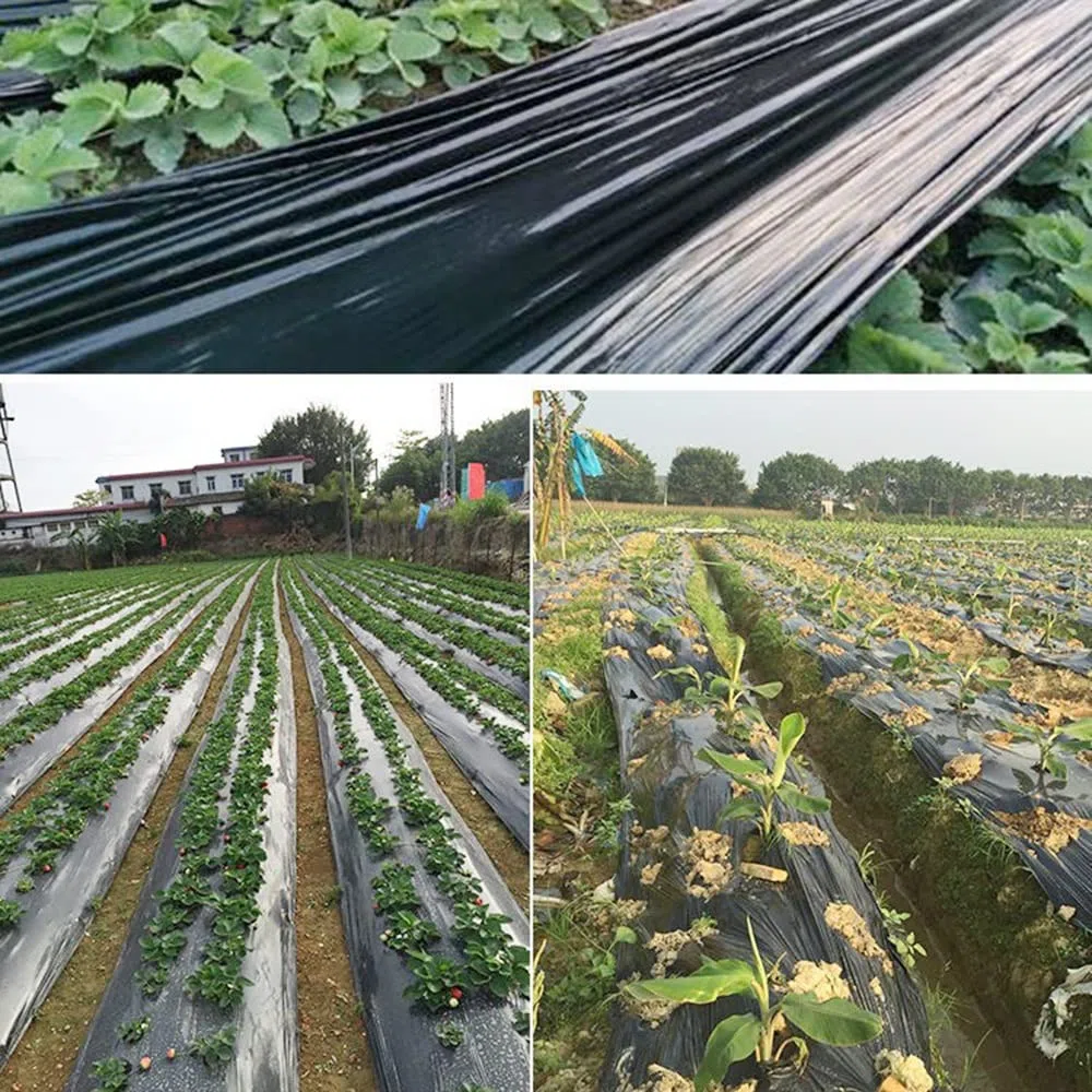 Garten-Gemüse Kunststofffolie 2,5/5,5 kg 1S Schwarze Streufolie zum Jäten, Verdicken, Anti-Aging, haltbar, ziehfest, feuchtigkeitsspendend, landwirtschaftliche Folie