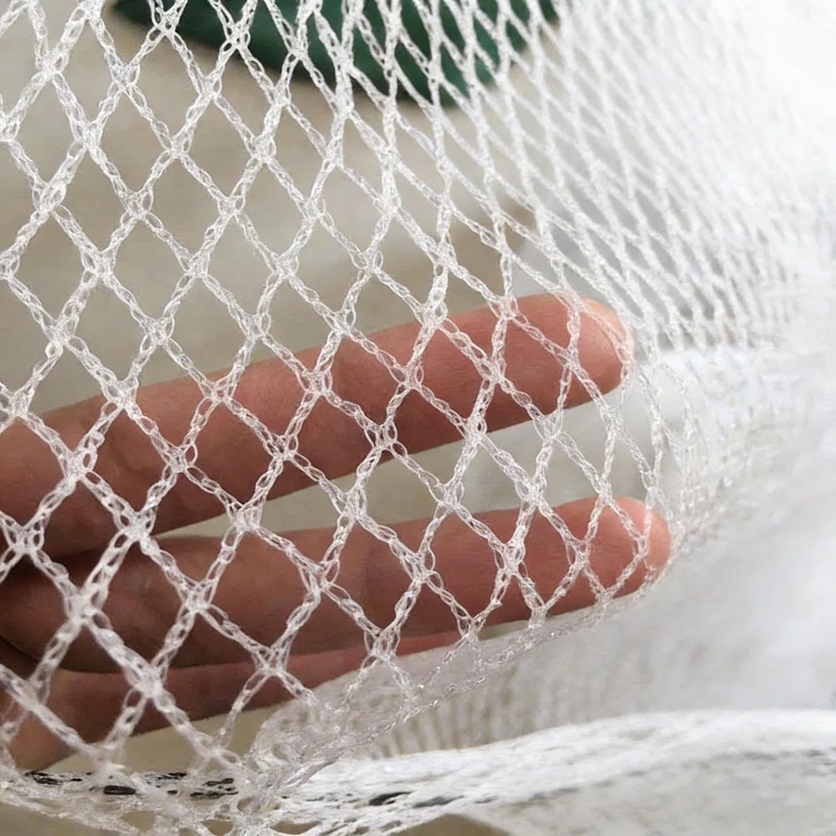 Generisch Vogelschutznetz für den Garten – Hagelschutznetz für Gemüsegärten, Obstplantagen und Teiche – Zuschneidbar und wiederverwendbar, 5 x 100 m, landwirtschaftliche Abdeckung