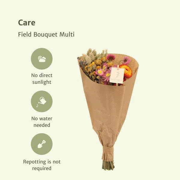 Trockenblumenstrauß Field Bouquet Multi, 60cm, Ø25cm