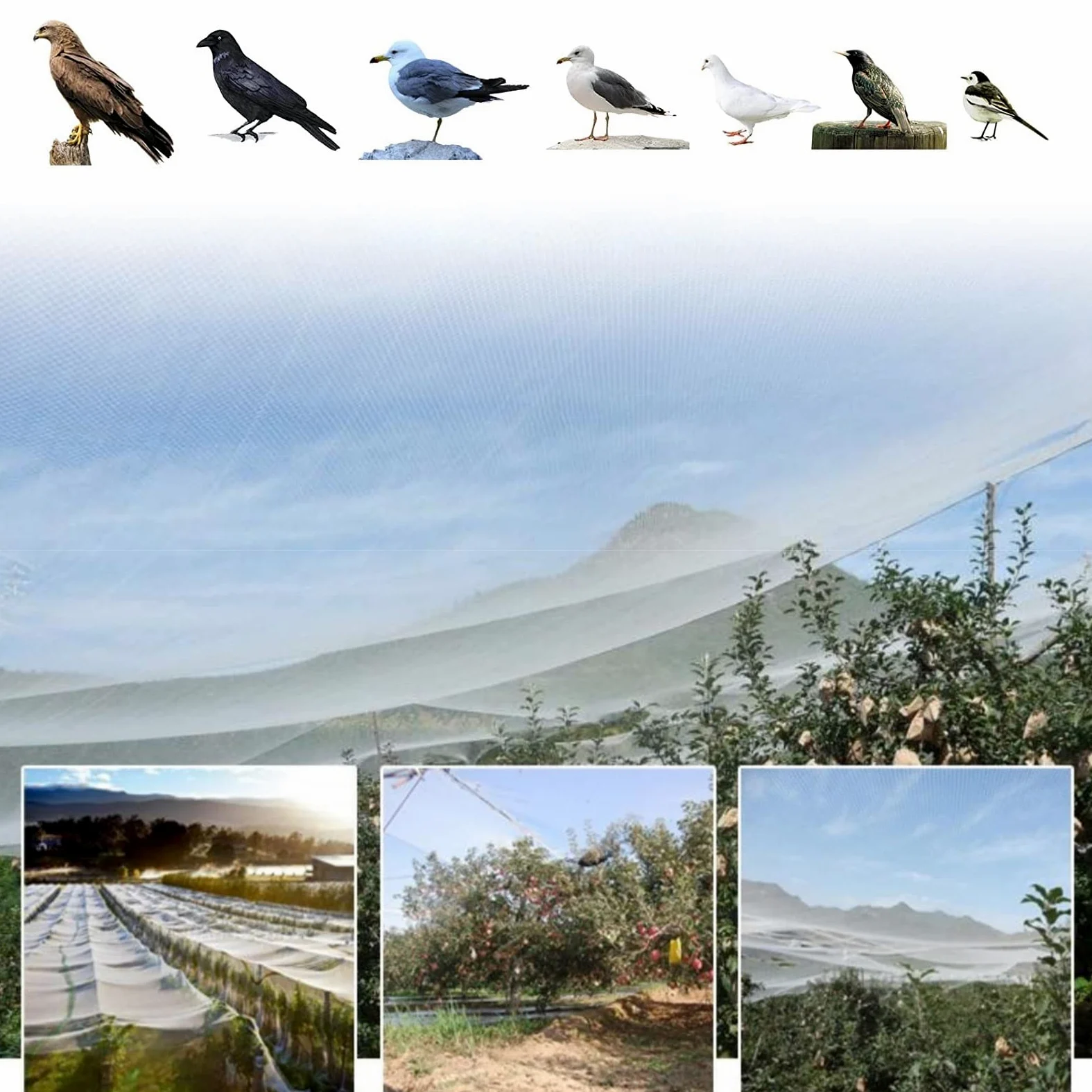 Generisch Garten-Vogelschutznetz, Hagelschutz für Pflanzen, weißes Obst- und Gemüseschutznetz, wiederverwendbares Teich- und Aquakulturnetz für Pools, Robustes Gartennetz.